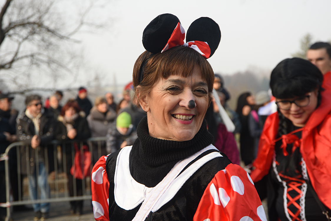 Sfilata carri Carnevale di Torino_131.jpg